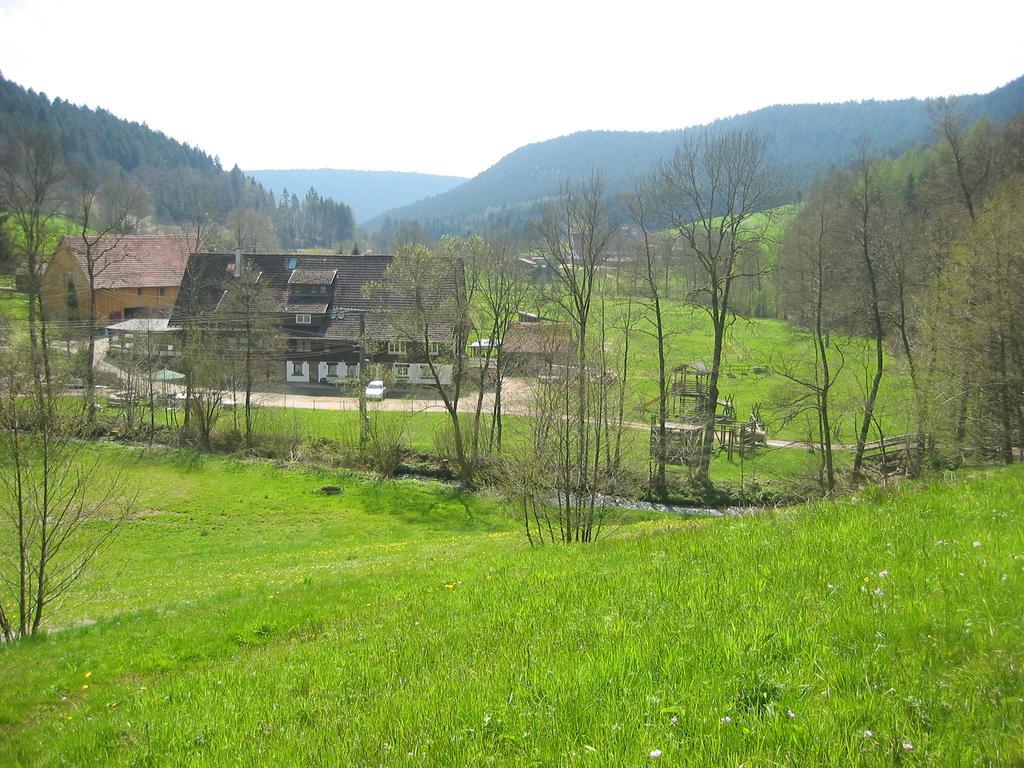 Landgasthof Untere Muehle Alpirsbach Kültér fotó