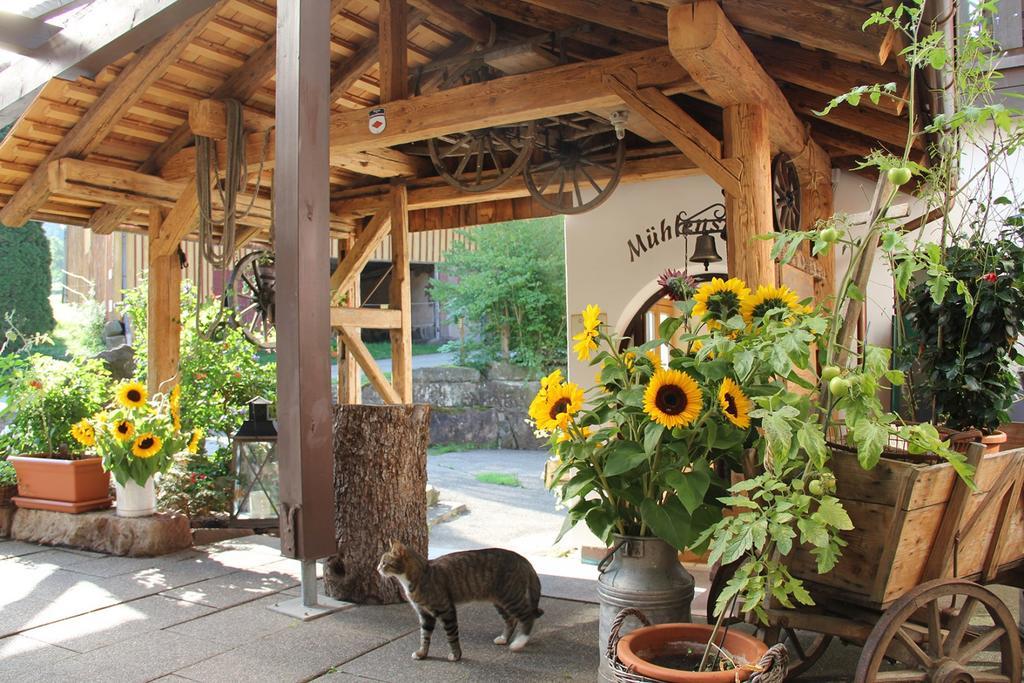 Landgasthof Untere Muehle Alpirsbach Kültér fotó